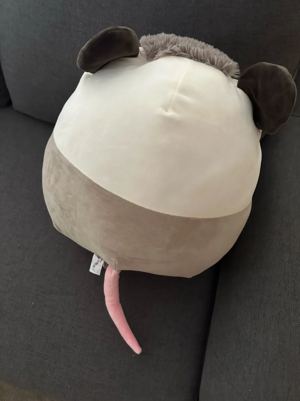 Squishmallows Luanne the Possum Stuffed Plush